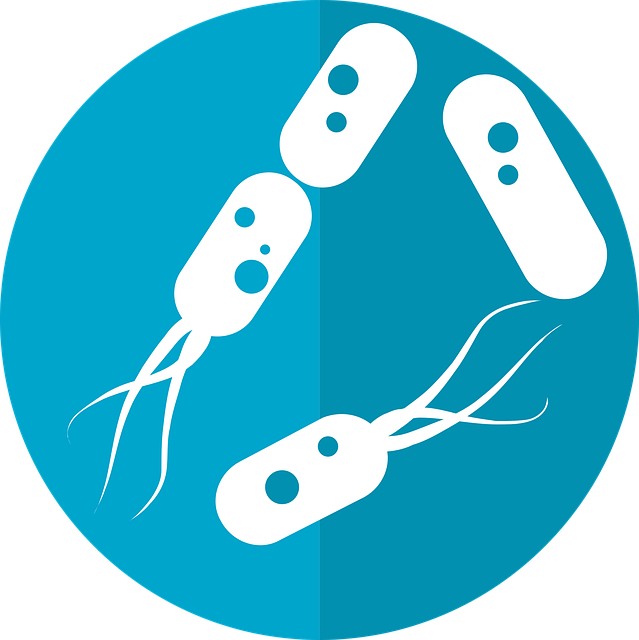 ** Probiotyki i prebiotyki dla włosów: Które składniki wspierają zdrowy mikrobiom skóry głowy?