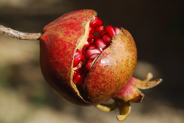 Superfoods w Suplementach Urodowych: Czy Rzeczywiście Działają? - 7 2025